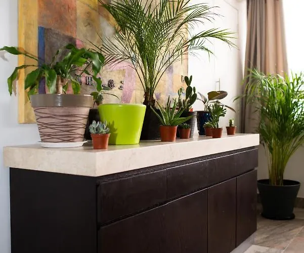 Apartment Air Lux *